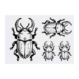 Azeeda 4 x 'Asiatischer Nashornkäfer' Temporäre Tattoos - Wasserfest, Hautfreundlich & Ungiftig · Transfers in Verschiedenen Größen (TO00071370)