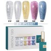 AS Gel Nail 5-Piece Set Includes Magnetic Syrup Glitter Color Gel Art Board, 1 Set, B19 / AS젤 네일 5종 세트 자석 시럽 글리터 컬러 젤 아트판 포함, 1세트, B19