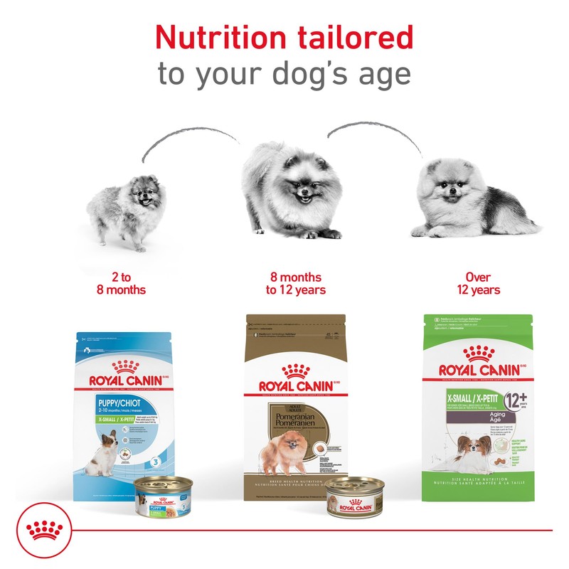 Royal Canin Breed Health Nutrition Pomeranian Adult Dry Dog Food,