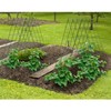 AGTEK 2 Packs 18" x 46" Foldable Cucumber Trellis with
