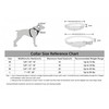 Aiminto Adjustable Nylon Reflective Martingale Dog Collar for Training and