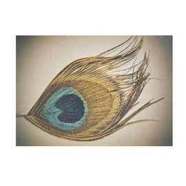 NIQUEA.D, Peacock Feather Blank Card