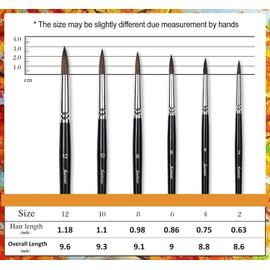 Squirrel Hair Watercolour Brushes, Fuumuui 6pcs Round Detail to Thick Paint Brushes High Water Holding Capacity Perfect for Watercolour Ink Gouache Painting Black