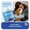 animigo Multivitamins and Minerals for Dogs - 120 Soft Chews