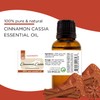 Cinnamon Cassia 100% Pure Essential Oil - 1 fl oz