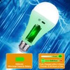 2 Pack 5200mAh Rechargeable Light Bulbs with Remote E26 Battery
