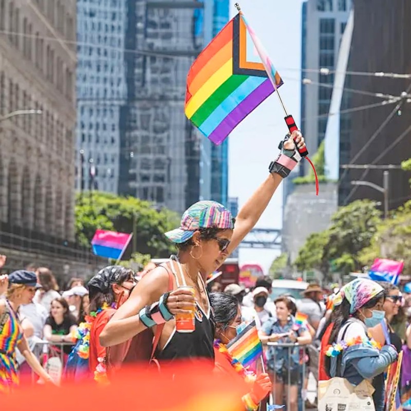 ZGIOPGEIN 2 Pcs Telescopic Flagpole Portable Handheld Flagpole Stainless Steel