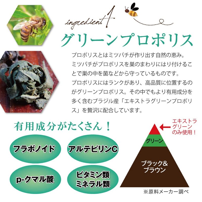 Yazuya Group Kyushu Natural Museum Dental Green Propolis 3.5 oz