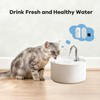 (18 Pack) 6 Sets Ceramic Cat Water Fountain Replacement Filters,