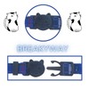 SuperBuddy Cat Collars Breakaway with Cute Bow Bell - 2