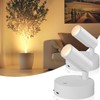 TaoFiaCo Wireless Led Spotlight Indoor, Plant Spotlight Indoor with Remote