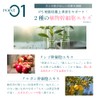 Oka iP Skin Series Beauty Oil iP Skin Emulsion 0.8