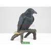Raven - Collectible Figurine Statue Sculpture Figure Crow Bird Model