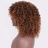 FALAMKA Short Brown Wig Afro Wig Curly Wig Women Daily