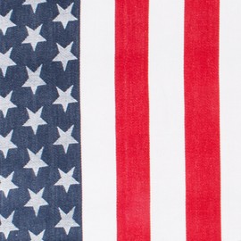 DII Stars & Stripes Tabletop Collection, Tablecloth, 70" Round