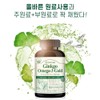 뉴트리랩스 징코 오메가3 골드 3개월분 은행잎추출물