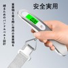 Luggage, Travel Scale, Digital Scale, Portable, Weighing up to 0.3