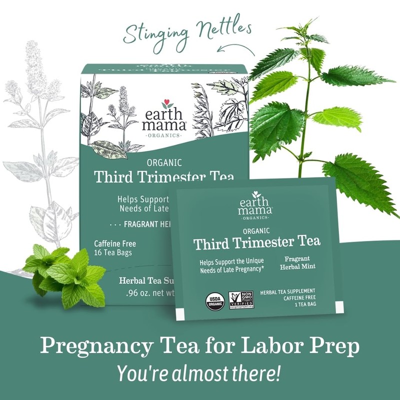 Earth Mama Organic Third Trimester Tea Bags | 100% USDA