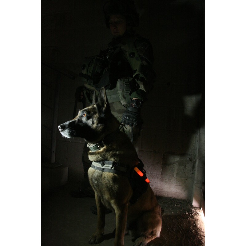 Cyalume ChemLight Military Grade Chemical Light Sticks, Red 6" Long,