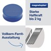 Ergo Large magnets, diameter 34 mm x 12.5 mm, pack