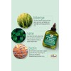 Difeel Aceite para el cabello premium de romero y menta