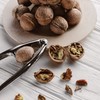 TRIXES Metal Nutcracker - Walnut Cracker Opener with Rubber Grips