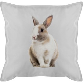 Cushion 50 x 50 cm – Easter Cushion – Rabbit Motif Easter Bunny Motif – 50 x 50 cm – Grey – Easter with Cuddly Cushion Easter Gifts Decorative Cushion Easter Bunny Easter Item Easter Surprise