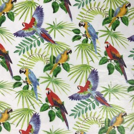 Black Cat Avenue 20" x 30" Printed Tissue Paper for Gift Wrapping, 24-Sheet, Parrots