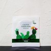 야다 선인장 토너패드 2매 x 1개 x2SET (AD) (33555059) Yada Cactus Toner Pads 2 Sheets x 1 Pack x 2 SET (AD) (33555059)