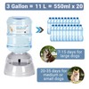 Whimsicalfox Pet Water Dispenser for Large Dogs and Multi-Pet, 3