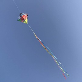 In the Breeze 3285 - Train 30 Inch Diamond Kite - Fun, Easy Flying Kite