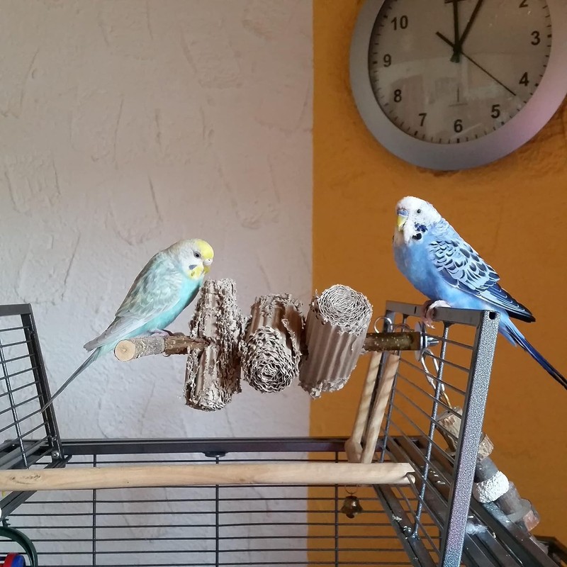 Vogelgaleria® Nibble Paradise for Birds - Activity Toy for Budgies,