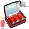 FlowFly Small Insulated Lunch box Portable Soft Bag Mini Cooler