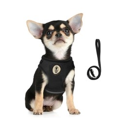 Cats and Dogs Vest Harnesses with Leash Reflective (Black, L)