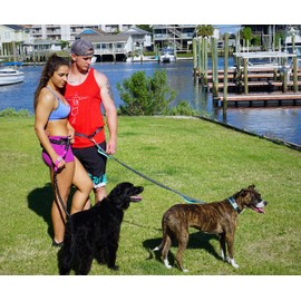 Black Rhino - Premium Hands Free Dog Leash for Running Walking Jogging & Hiking - Adjustable Length Dual Handle Bungee Leash Medium – Large Dogs Neoprene Padded Handles - Running Pouch Included Aqua