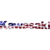 TVC KAWASAKI TERYX T4 TAILGATE LETTERS 4 SEATER DECAL WAVING AMERICAN FLAG GLOSS