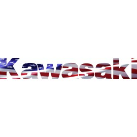 TVC KAWASAKI TERYX T4 TAILGATE LETTERS 4 SEATER DECAL WAVING AMERICAN FLAG GLOSS