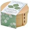 Seishin Pottery GD-95602 All Year Round Home Garden Easy Cultivation