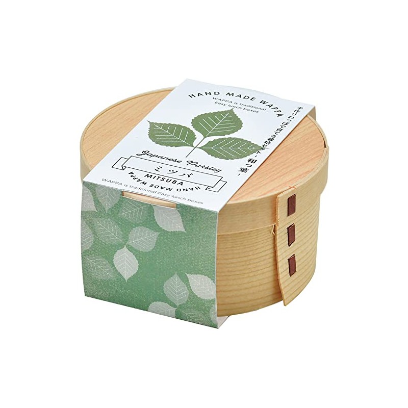 Seishin Pottery GD-95602 All Year Round Home Garden Easy Cultivation