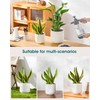 vancasso 6 Inch Ceramic Plant Pots, Planters with Drainage Hole,