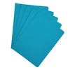 Raylu Paper® - Pack of 25 Cardboard Subfolders with Faster