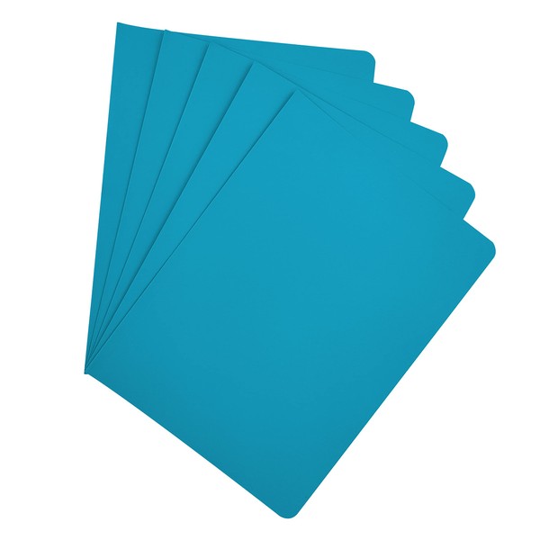 Raylu Paper® - Pack of 25 Cardboard Subfolders with Faster