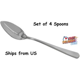 AlepTau Set of 4 Grapefruit Spoons Stainless Steel Serrated Edge