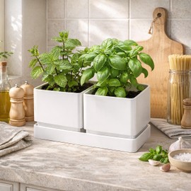 D'vine Dev Herb Garden Planter Set with Saucer, White, 76-Q-A-1