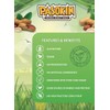PASOKIN | Original Peanut Butter Snack | Gluten-Free, Vegan, All