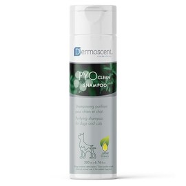 Pyoclean Shampoo