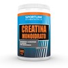 Creatina monoidrato - 500g - Ultimate Italia