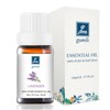 GM Gumili Lavender Essential Oil - Pure Organic Lavender Oil