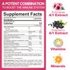 ENVYCURE Multivitamin Gummies Daily Immunity Booster, Natural Herbal Elderberry, Echinacea, Turmericm, Vitamin A C, D3 5000IU, E, Zinc, Selenium, Magnesium Support Immune, Cellular Health & Bone Strong, 2 Pack