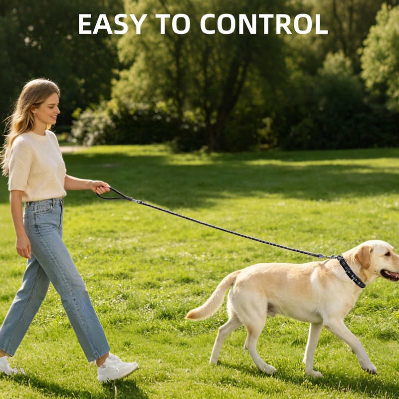 PUPTECK Chain Dog Leash Chew Proof, 2-in-1 Reflective with Soft
